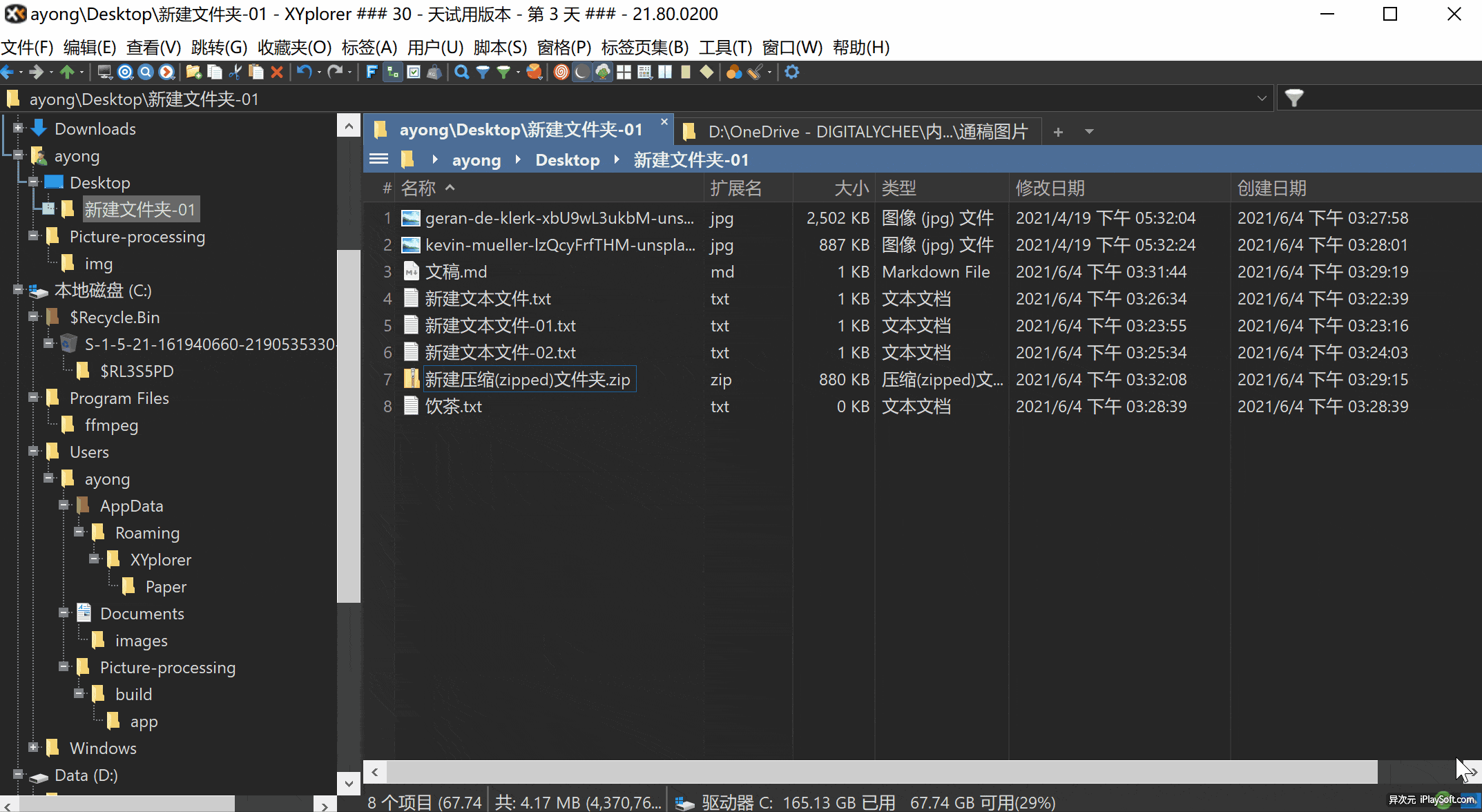 XYplorer 文件预览