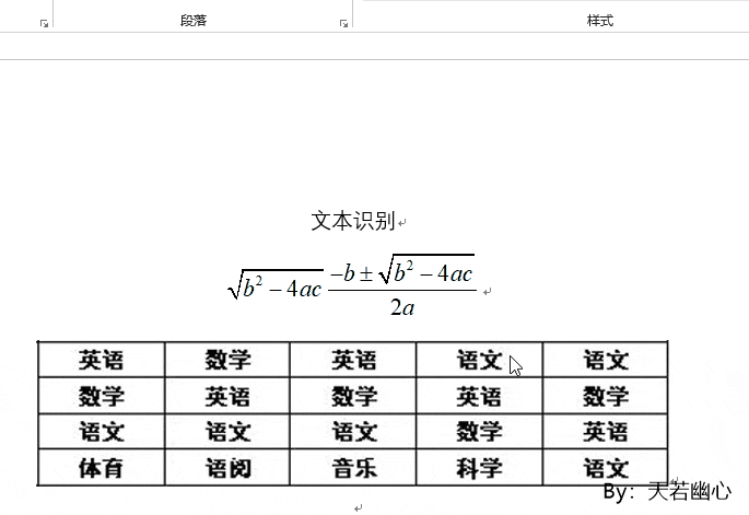 天若 OCR 专业版