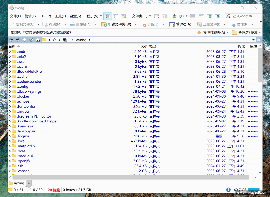 Everything 搜索