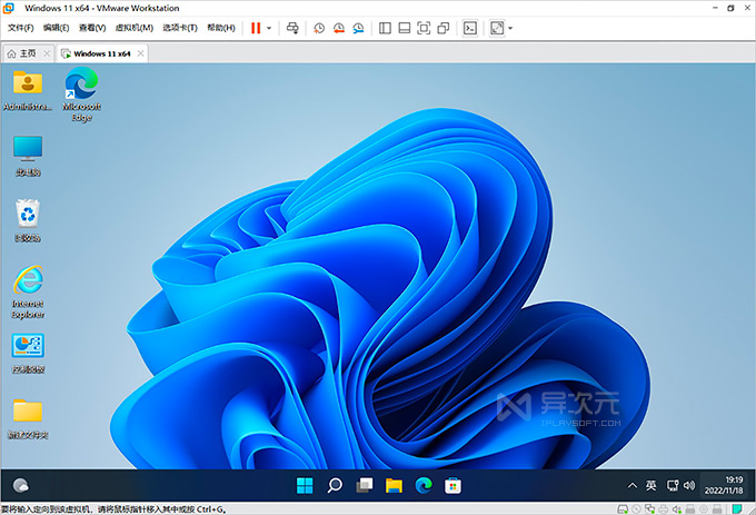 VMWare Workstaion Windows 11