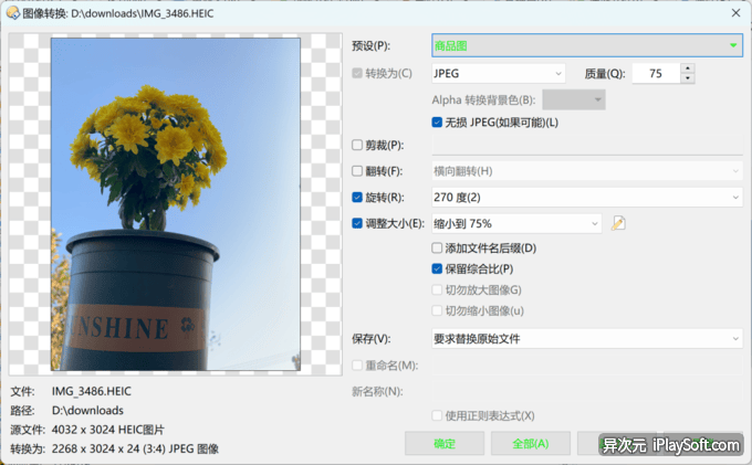 图片转换参数导出
