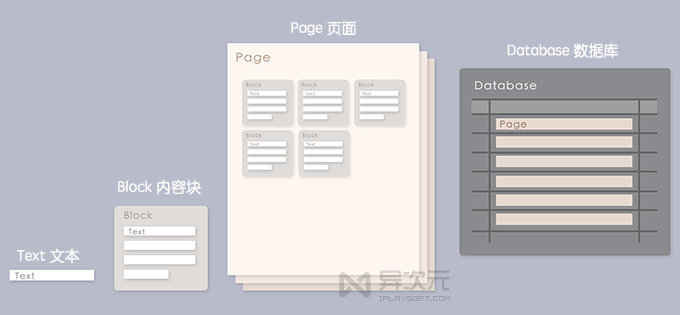 Notion 单位结构